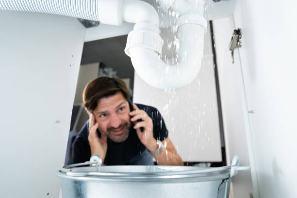 Best Sprinkler Systems  in Peosta, IA