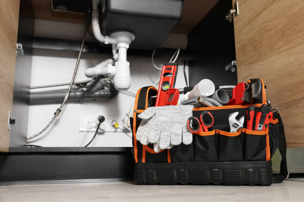 Best Affordable Plumbing Services  in Peosta, IA