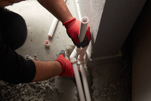 Best Plumbing Inspection Services  in Peosta, IA