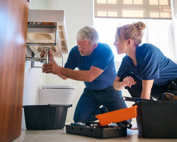 Best Plumbing Services Near Me  in Peosta, IA